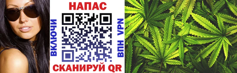 Конопля Bruce Banner  Купить  Дорогобуж 